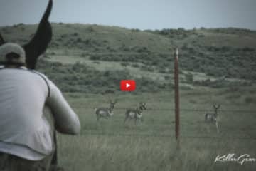 Antelope Fan Promotion Launch Video 1
