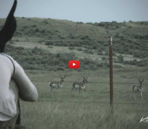 Antelope Fan Promotion Launch Video 2